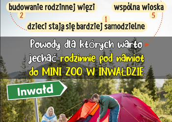 Powody dla których warto przyjechać rodzinnie pod namiot do Mini Zoo w Inwałdzie!